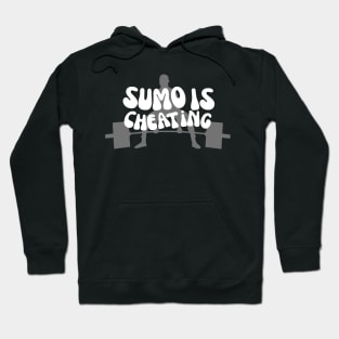 Sumo is cheating Hoodie